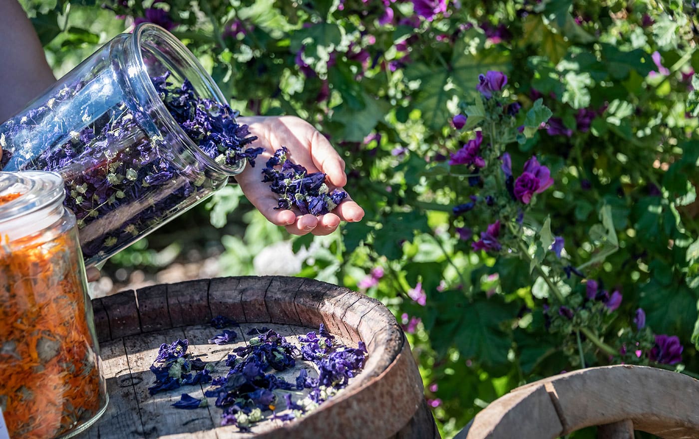 Herb farm South Tyrol